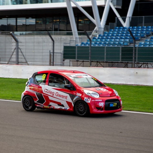 Citroen C1 Race Car Custom Display mount