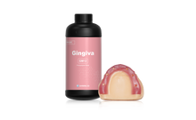 Dental Gingiva Mask GM12